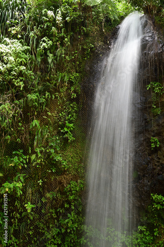 Toraille waterfall in Saint Lucia