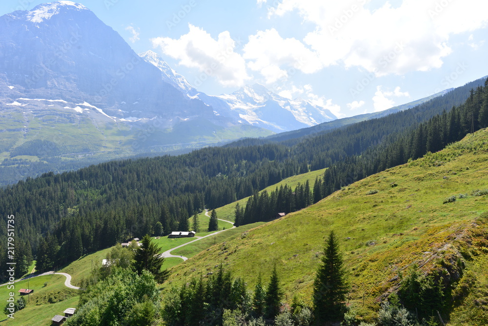 Eiger Nordwand in den Berner Alpen 