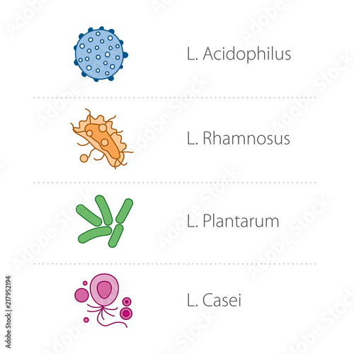 Healthy acidophilic intestinal lactobacillus bacteria icons. Medical vector illustration