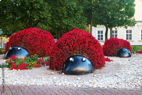 Flower Ladybugs
