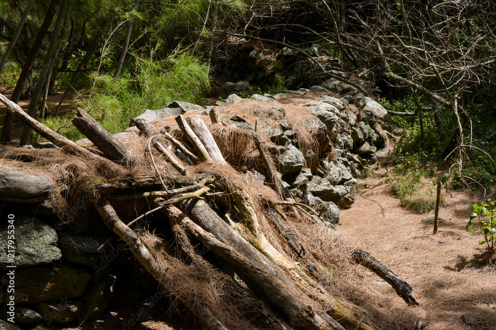 Stone wall covered with pine needles in a forest. This photo was taken on the island of Maui, Hawaii. Stone wall covered with pine needles in a forest. This photo was taken on the island of Maui, Hawaii.