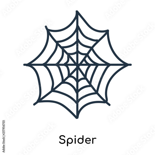 Spider icon vector isolated on white background, Spider sign , illustration with thin symbols or lined elements in outline style