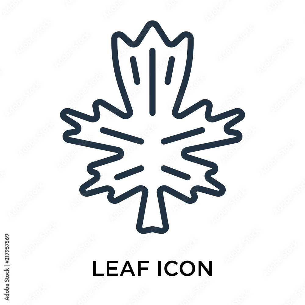 leaf icons isolated on white background. Modern and editable leaf icon. Simple icon vector illustration. leaf icons isolated on white background. Modern and editable leaf icon. Simple icon vector illustration.