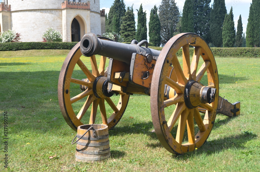 cannone Napoleonico giallo 2