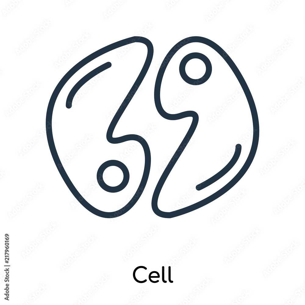 Cell icon vector isolated on white background, Cell sign , thin symbols or lined elements in outline style Cell icon vector isolated on white background, Cell sign , thin symbols or lined elements in outline style