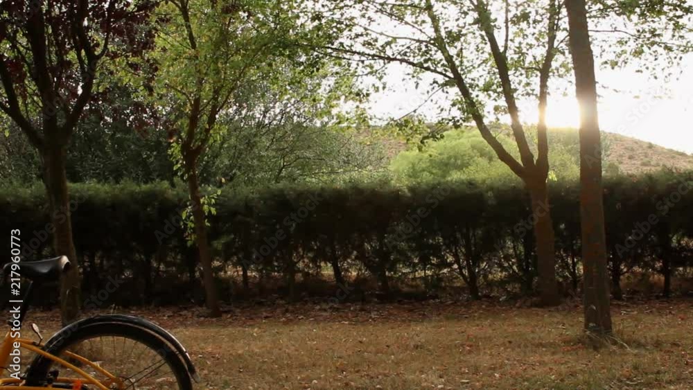 slider shot of bike parked in a park slider shot of bike parked in a park
