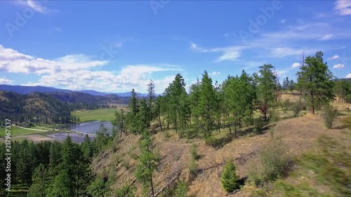 Aerial view of forest and lake