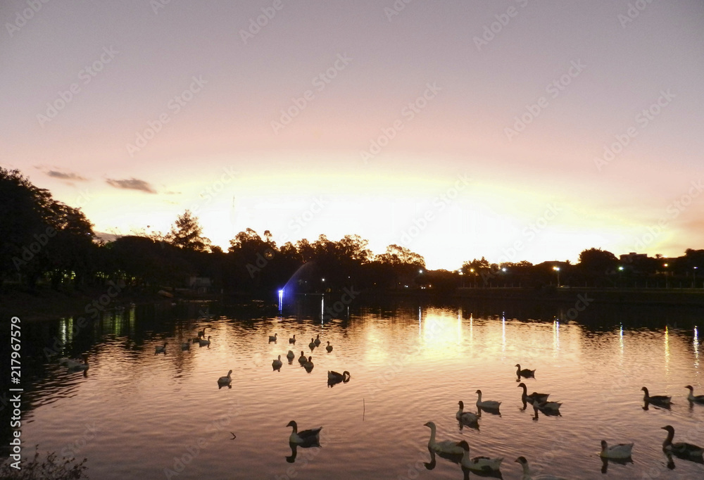 Naklejka premium Lago 