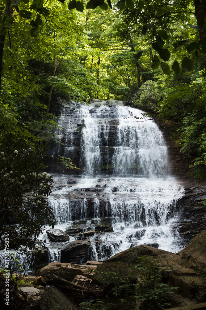 Fototapeta premium Beautiful high waterfall among the forest in summer. Waterfall and Botanical Preserve Pearson's Falls, Saluda, NC, USA