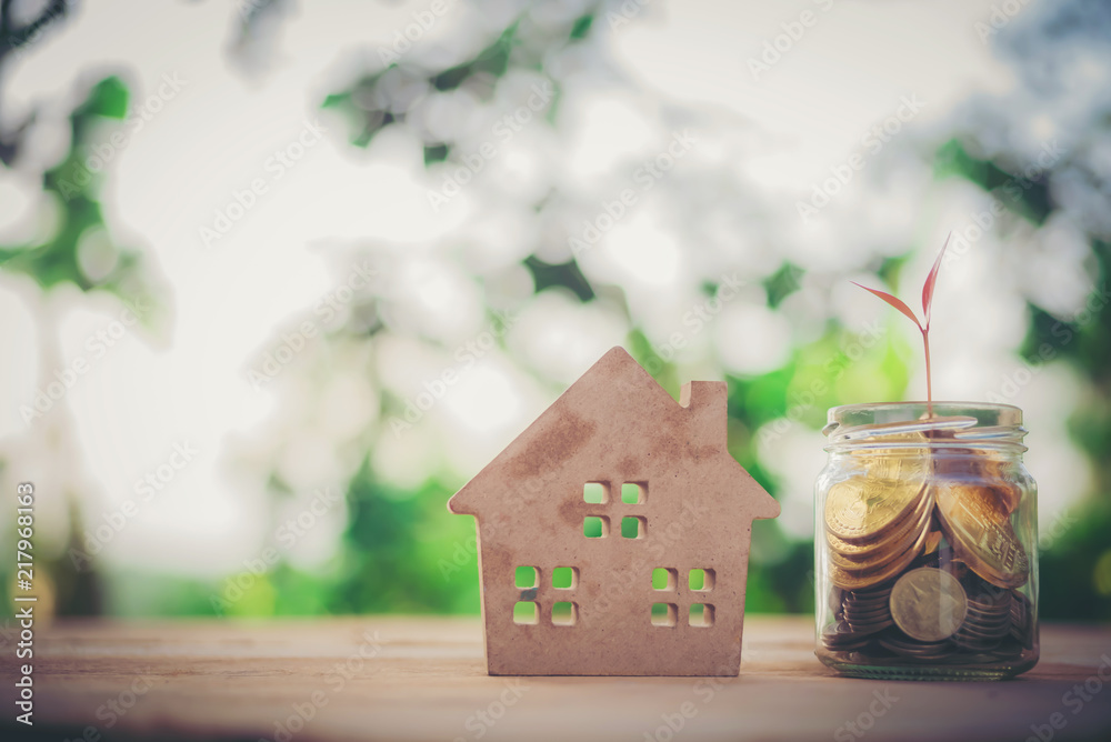 Money Saving Ideas for Homes, Financial and Financial Ideas, Saving Money in Preparing for the Future, Growing Up of Coins Money Saving Ideas for Homes, Financial and Financial Ideas, Saving Money in Preparing for the Future, Growing Up of Coins