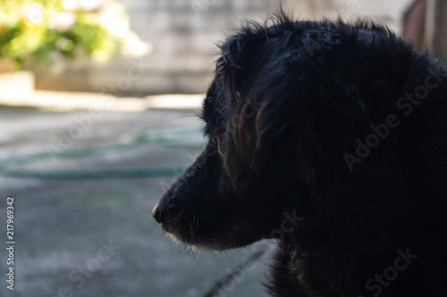 Pensando na brincadeira de hoje