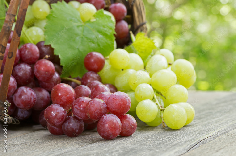 Fresh Red and Green Grapes on a Rustic Wooden Table Fresh Red and Green Grapes on a Rustic Wooden Table
