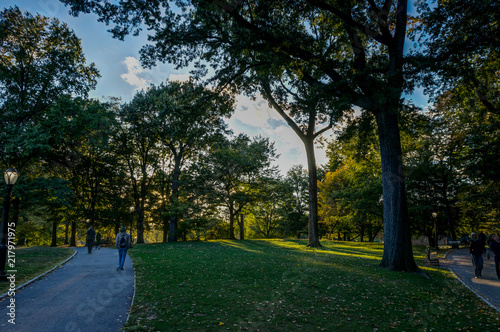 New York Central Park Sunset blue Sky trees Manhatten © Mathias