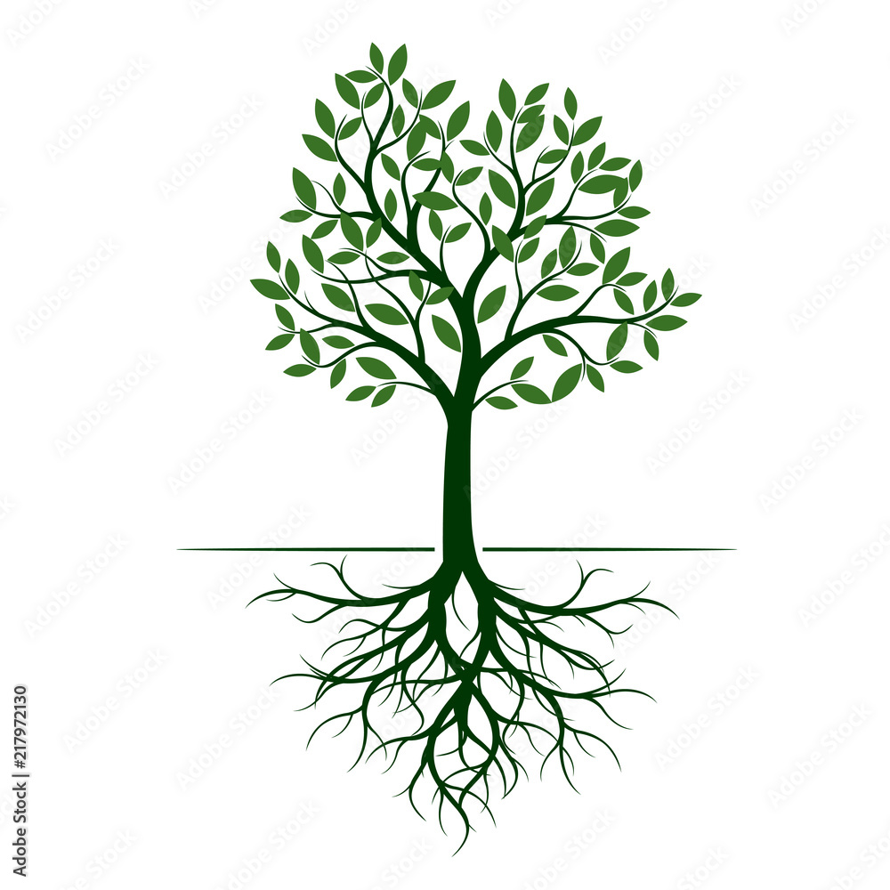 Green Tree with Roots. Vector Illustration. Green Tree with Roots. Vector Illustration.