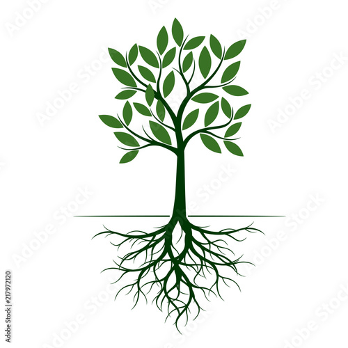 Green Tree with Roots. Vector Illustration.