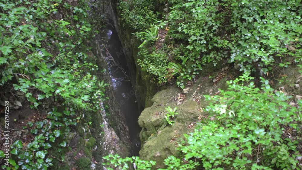 Mountain gorge with stream, green forest and big stones Mountain gorge with stream, green forest and big stones