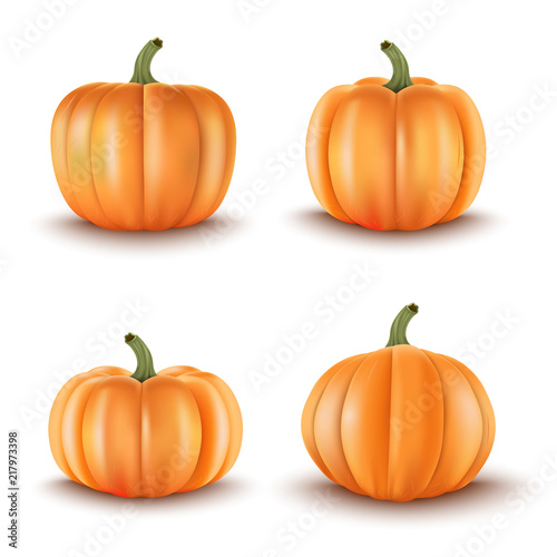 Set of 4 Realistic Pumpkins.Halloween decoration.Vector illustration