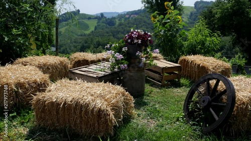 Traditional Scenery with Hay Bale at Vineyard in Styria Austria 4K on Slider photo