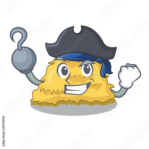 Pirate hay bale character cartoon photo