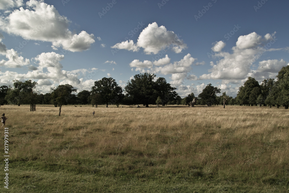 wonderful afternoon at the Richmond Park South West London, UK