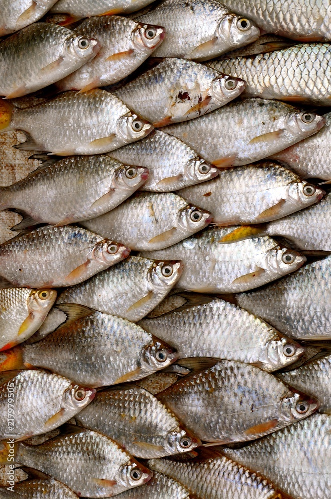 Obraz premium Display of dead fish in a fish market in Asia