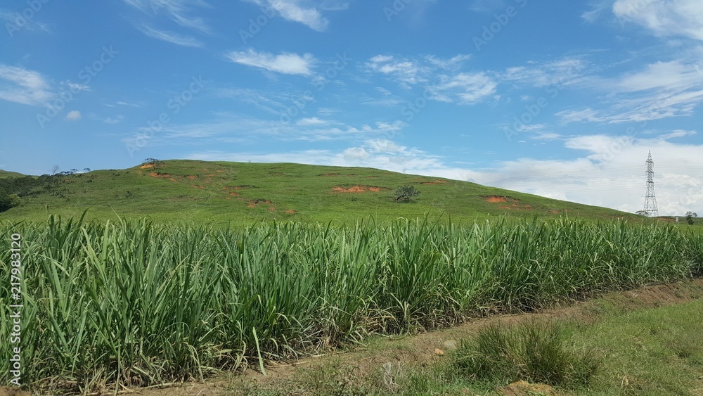 Valle del Cauca Valle del Cauca