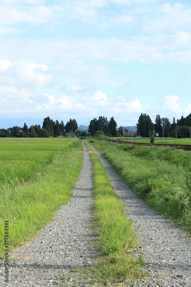 Obraz premium 秋田内陸縦貫鉄道 夏の田園風景 8月