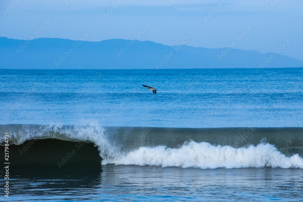 High Tide Ocean Waves