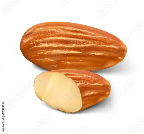 Realistic almond nuts on white background. Vector illustration. Ready to use for your design, presentation, promo, ad. EPS10.