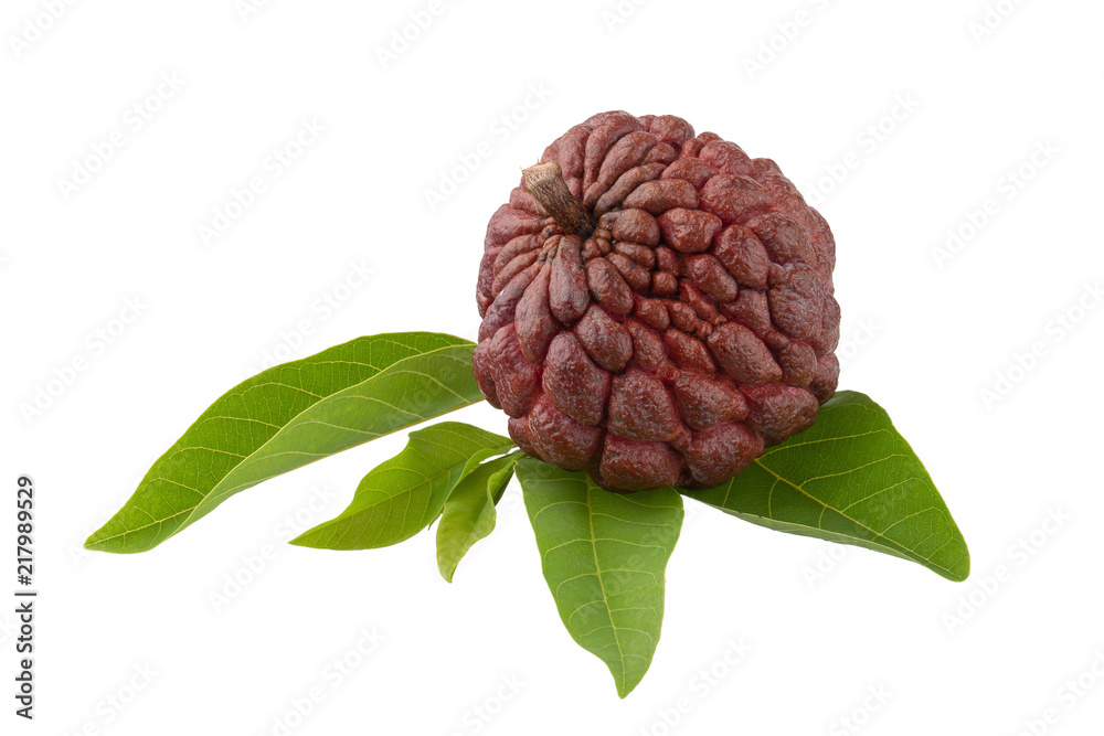 Obraz premium custard apple fruit isolated on a white background