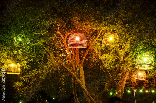 Simply Fire decoration on tree. Night light in Asian country style.