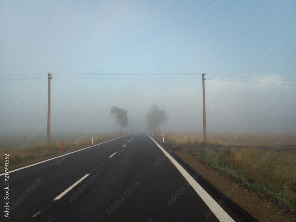 czech countryside road in a morning mist