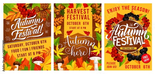 Autumn festival of harvest poster with fall leaves