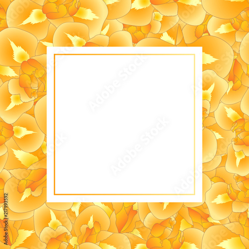 Fototapeta Naklejka Na Ścianę i Meble -  Orange Iris Flower Banner Card