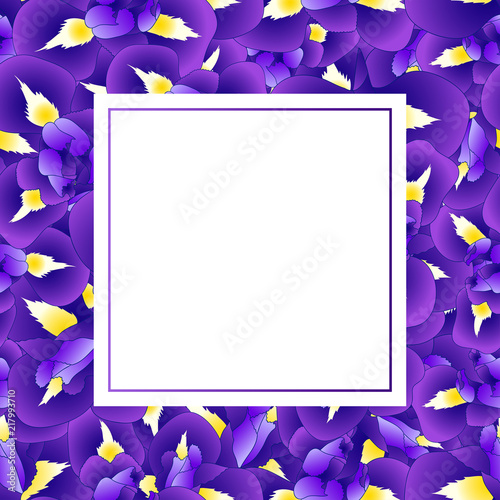 Fototapeta Naklejka Na Ścianę i Meble -  Iris Flower Banner Card