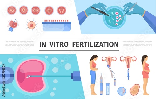 Flat In Vitro Fertilization Elements Set