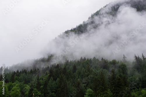 Mountain Fog © Clayton