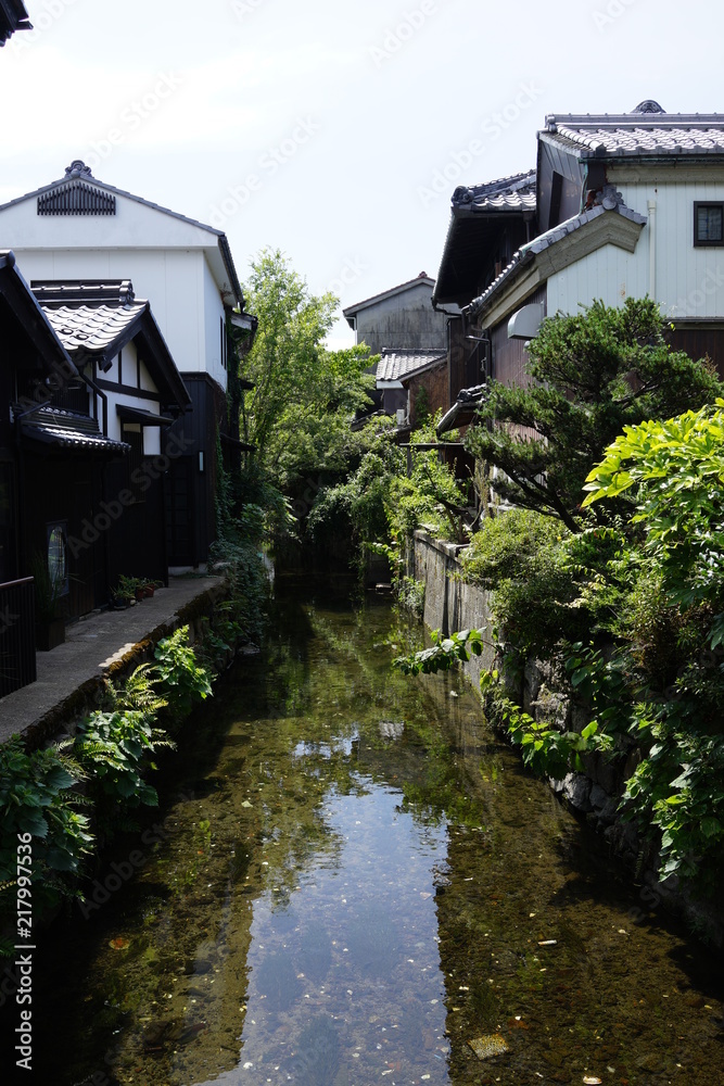 街中の小川 川 小川 用水路 夏 黒壁スクエア 街中の小川 川 小川 用水路 夏 黒壁スクエア