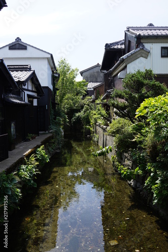 街中の小川 川 小川 用水路 夏 黒壁スクエア