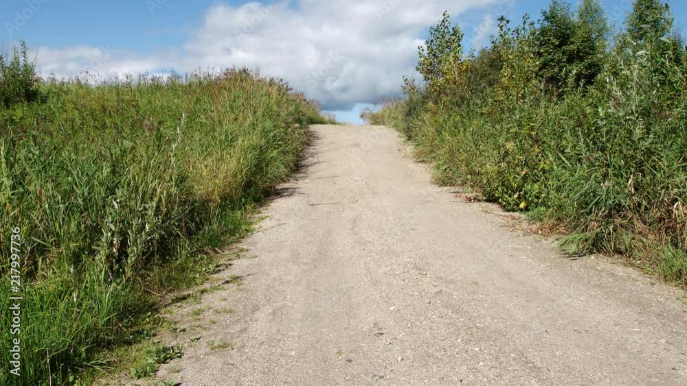 Countryside road in summer day in Siberia, Russia Countryside road in summer day in Siberia, Russia