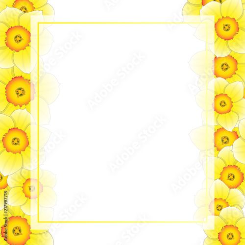 Fototapeta Naklejka Na Ścianę i Meble -  Yellow Daffodil - Narcissus Flower Banner Card Border