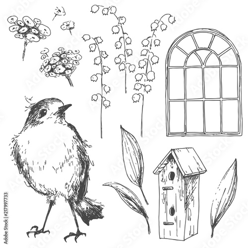 Romantic vector hand drawn collection of birds, flowers, gardeni