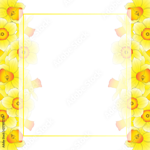 Fototapeta Naklejka Na Ścianę i Meble -  Yellow Daffodil - Narcissus Banner Card Border