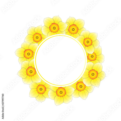 Fototapeta Naklejka Na Ścianę i Meble -  Yellow Daffodil - Narcissus Flower Banner Wreath