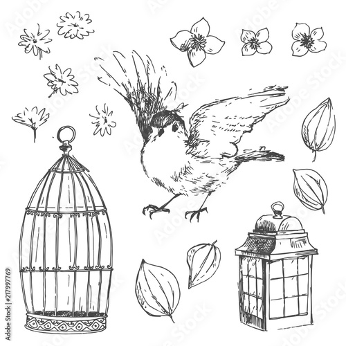 Romantic vector hand drawn collection of birds, flowers, gardeni photo