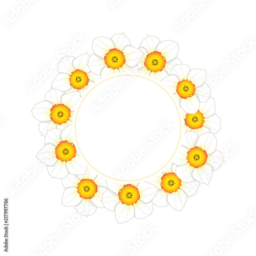 Fototapeta Naklejka Na Ścianę i Meble -  White Daffodil - Narcissus Flower Banner Wreath