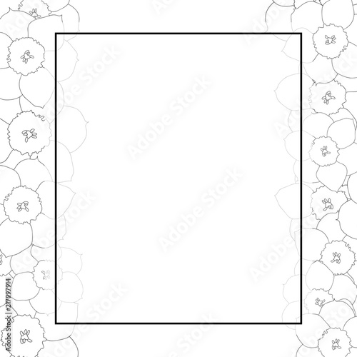 Fototapeta Naklejka Na Ścianę i Meble -  Daffodil - Narcissus Flower Outline Banner Card Border