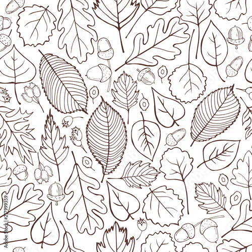 Vector pattern with hand-drawn autumn leaves. Vector illustration.