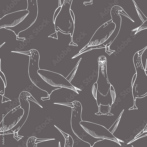 Hand drawn gannet.  Vector seamless pattern