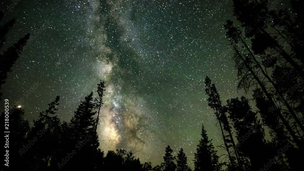 Time lapse of the Milky Way moving through the sky viewing airglow moving over the galaxy from within a forest.